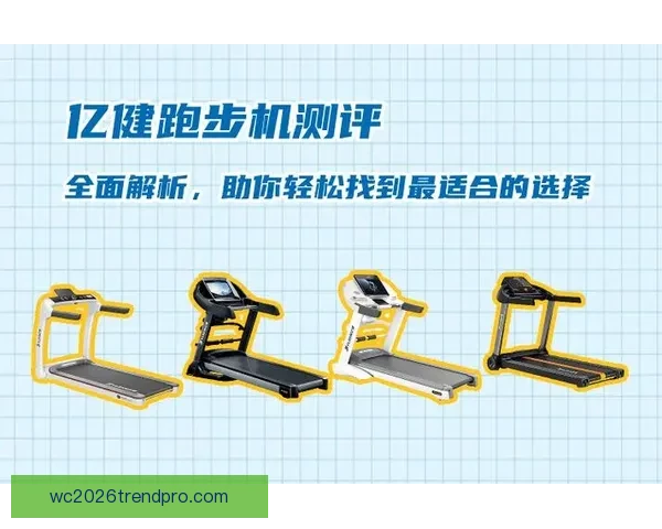 全面解析热门体育平台推荐助你轻松选择最适合的运动体验